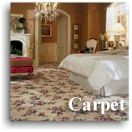 Buy Name Brand Carpets Online