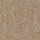 Shaw Floors: XV071 Sand Shell
